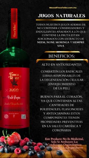 Jugo Frutos Rojos MFT