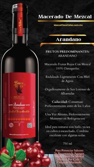 Macerado de Arandano MFT