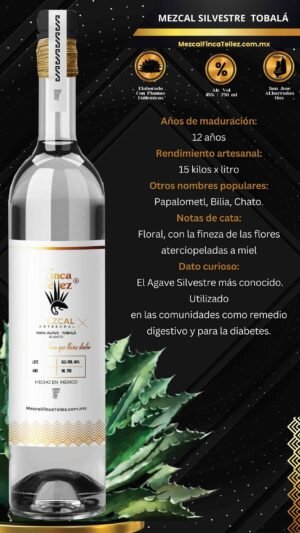 Mezcal Silvestre Tobala MFT